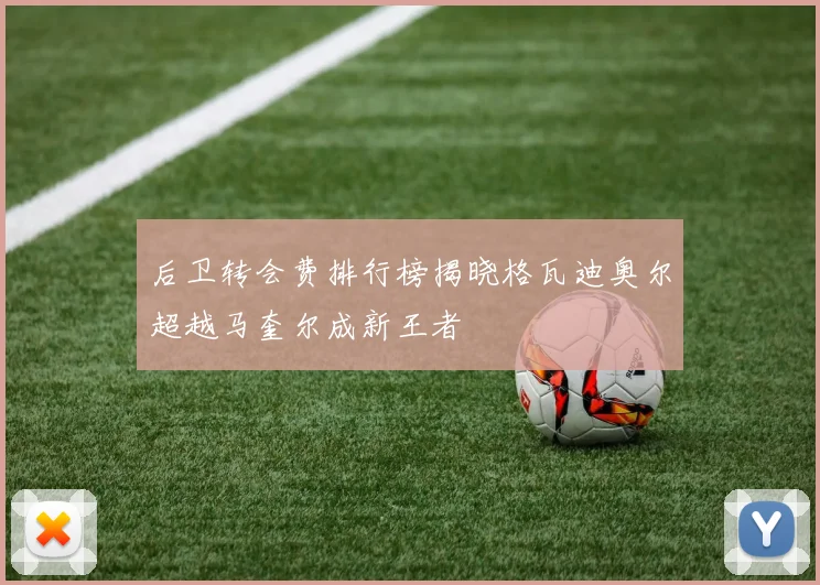 后卫转会费排行榜揭晓格瓦迪奥尔超越马奎尔成新王者