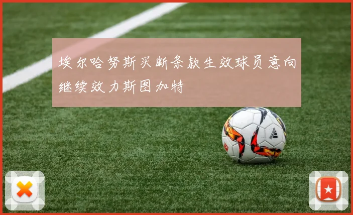 埃尔哈努斯买断条款生效球员意向继续效力斯图加特